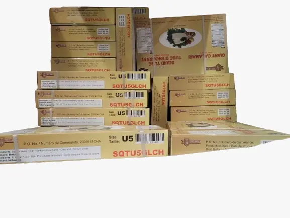 U5 squid yellow box