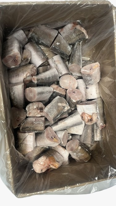 Hake WHITING FROZEN IQF 600GM+ 16KG