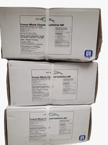 U-1-2 Cuttlefish, IQF Whole