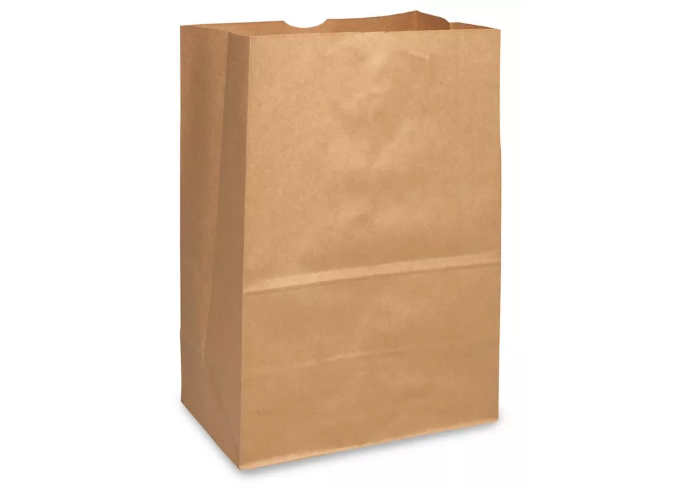 5LB PAPER GROCERY BAG