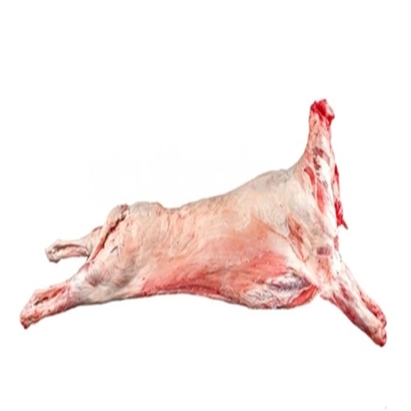 LAMB CARCASES