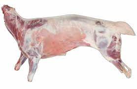 GOAT CARCASES