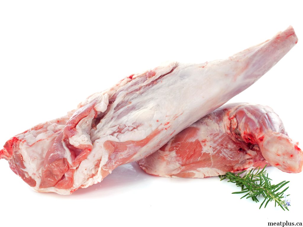 Taylor Swift Lamb leg Long