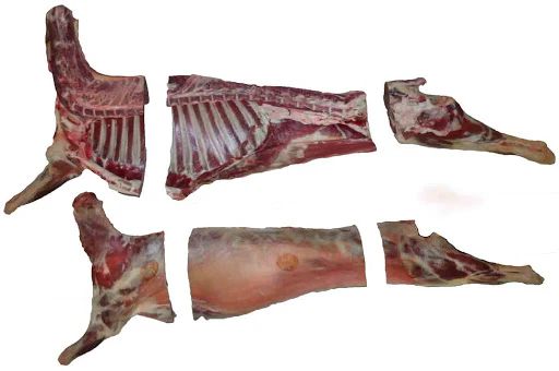 6-WAY BURNT GOAT