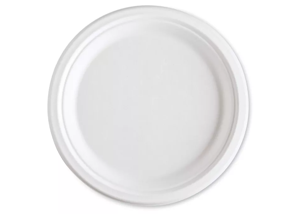 LZ9 9" Paper Plate 500/box 