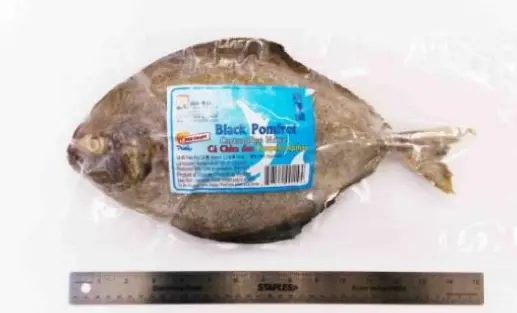 Black Pomfret