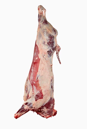Beef Carcass beef with bone