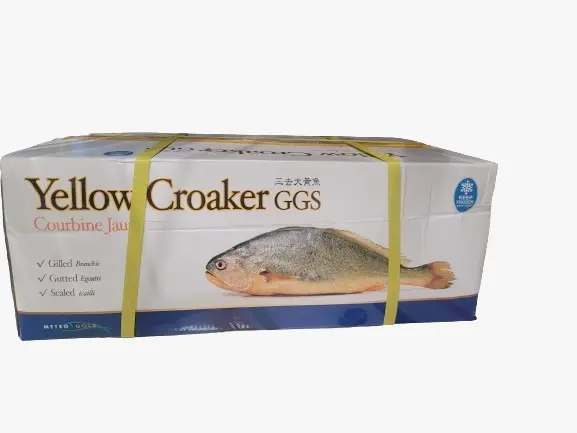 500-700 Yellow Croaker Fish
